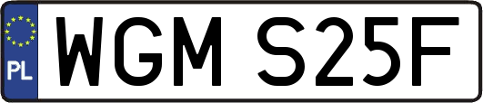 WGMS25F