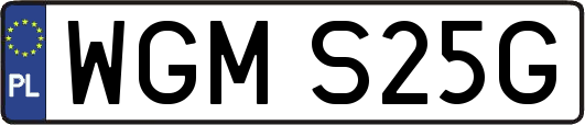 WGMS25G