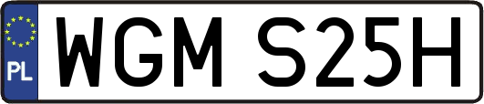 WGMS25H