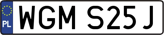 WGMS25J