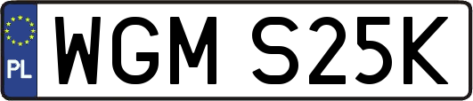 WGMS25K