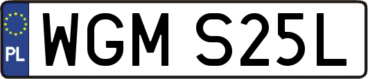 WGMS25L