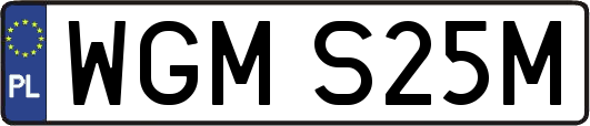 WGMS25M