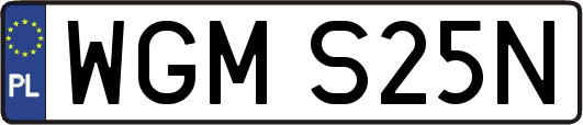 WGMS25N