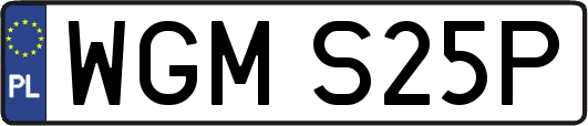 WGMS25P