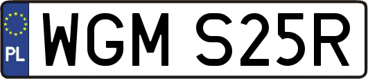 WGMS25R