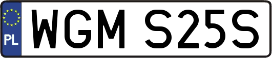 WGMS25S