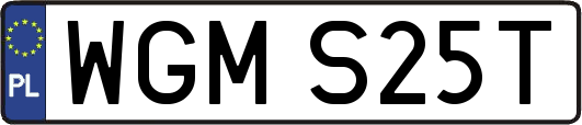 WGMS25T