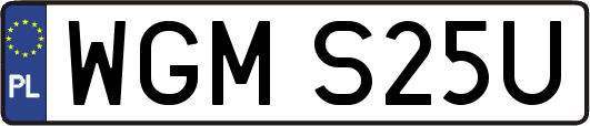 WGMS25U