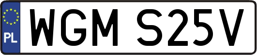 WGMS25V
