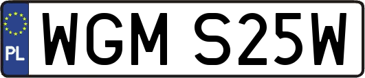 WGMS25W