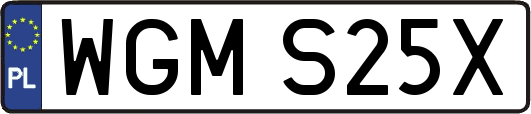 WGMS25X
