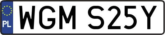WGMS25Y