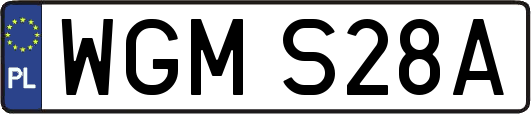 WGMS28A