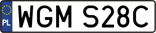 WGMS28C