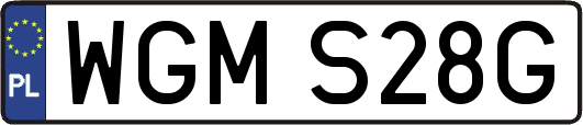 WGMS28G