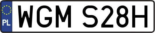 WGMS28H