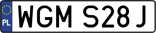 WGMS28J