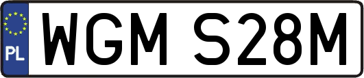 WGMS28M