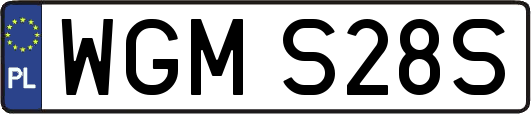 WGMS28S