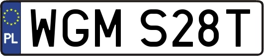 WGMS28T