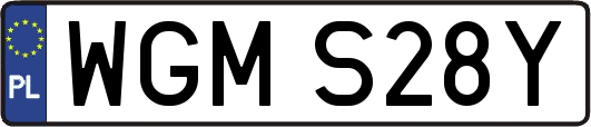 WGMS28Y