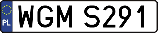 WGMS291