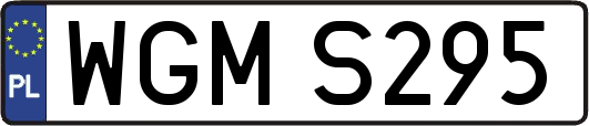 WGMS295