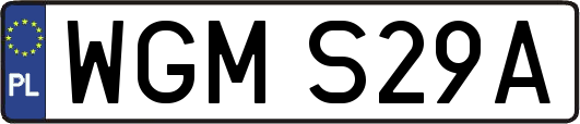 WGMS29A