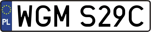 WGMS29C