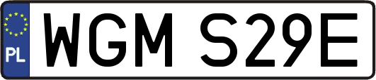 WGMS29E