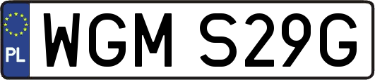 WGMS29G