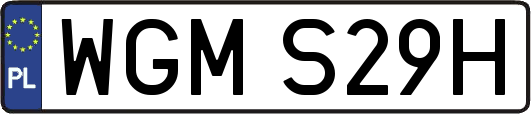 WGMS29H