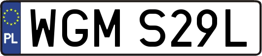 WGMS29L