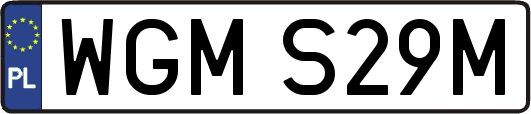 WGMS29M