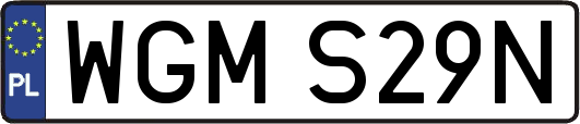 WGMS29N