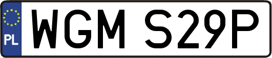 WGMS29P