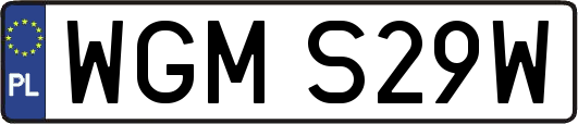WGMS29W