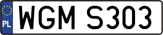 WGMS303