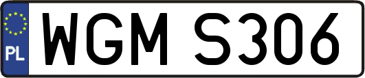 WGMS306