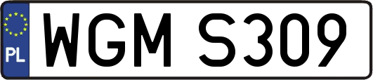 WGMS309