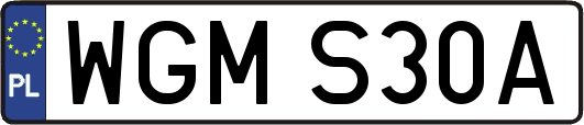 WGMS30A