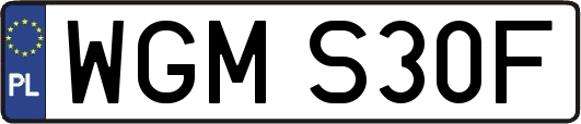 WGMS30F