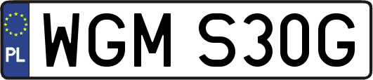 WGMS30G