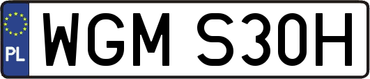 WGMS30H