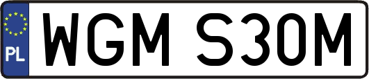 WGMS30M