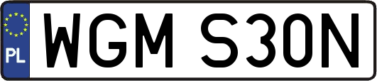 WGMS30N