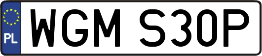 WGMS30P
