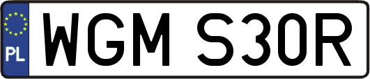 WGMS30R