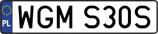 WGMS30S